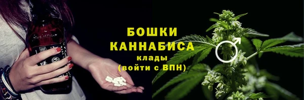 прущие крисы Верея