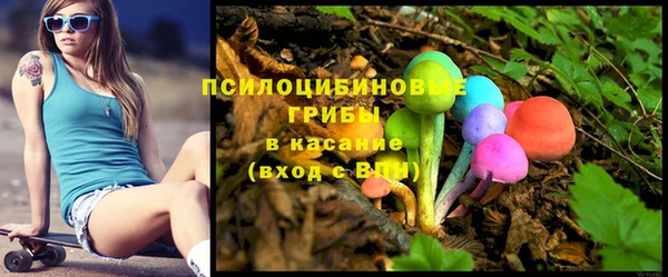 прущие крисы Верея