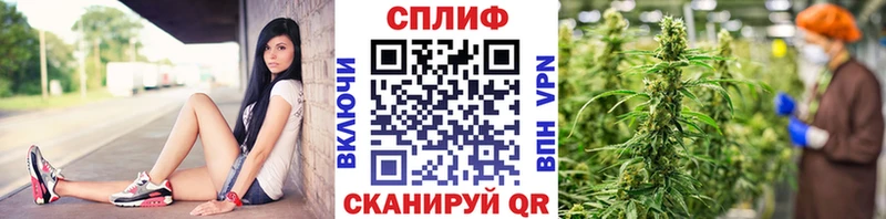 Купить где  Полярные Зори  МАРИХУАНА Amnesia 
